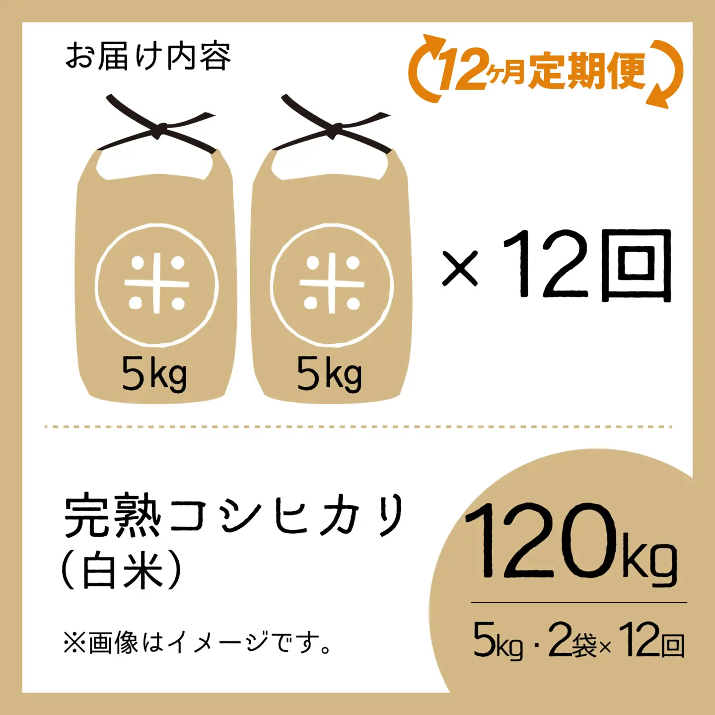 【先行予約】【令和8年産 新米】【12ヶ月定期便】くらもち完熟米 コシヒカリ （白米）10kg（5kg×2袋）×12回　計120kg