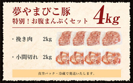 「夢やまびこ豚」特別！お腹まんぷくセット 小間切れ 2.0kg＋挽肉 2.0kg | 豚肉 肉 お肉 小間切れ こま切れ 挽き肉 挽肉 ミンチ 豚ミンチ 小分け 真空パック 冷蔵 送料無料