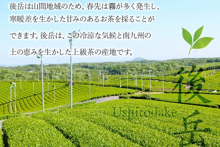 岳みどり上級深蒸茶とお手軽茶ドリップセット【1185868】