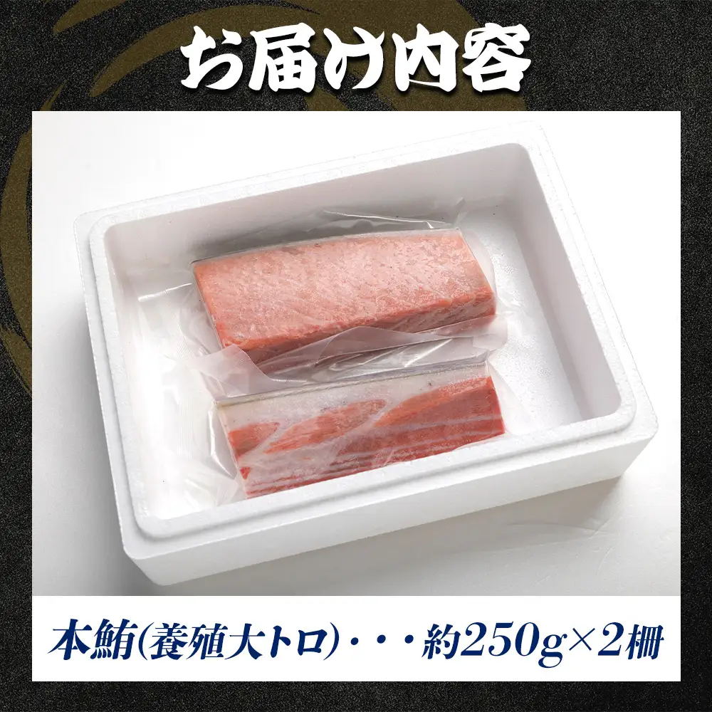 【大トロ】本マグロ  2冊 計約500g 大トロ oo-0018