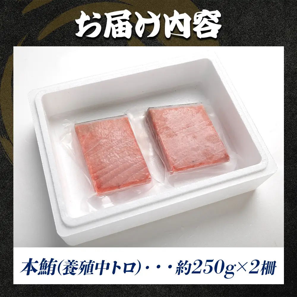本マグロ 中トロ 2柵(500g) 中トロ oo-0019