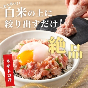 【定期便3回】焼津 天然 鮪 使用 ネギトロ 小分け 約100g×15 (a36-012)