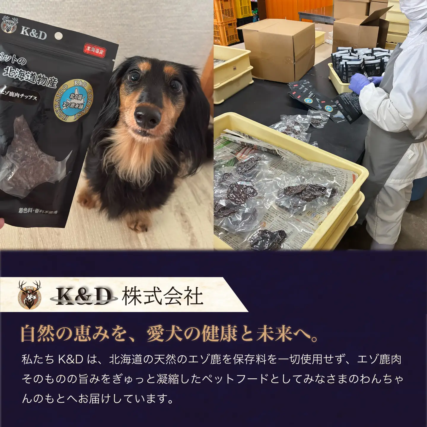 北海道 ペットのご飯 エゾシカ（生肉・骨）6種《足寄町》【K&D株式会社】 [BEBC006]