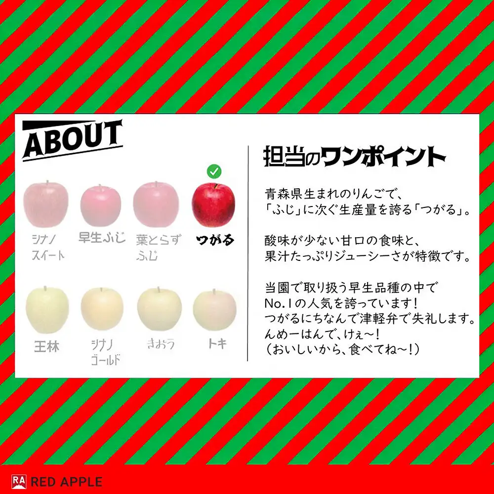 【26年9月発送】りんご【訳あり】家庭用 つがる 約2.5kg 
