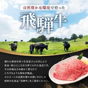 【全３回定期便】飛騨牛 A5 赤身 全3回 900g（焼肉 すき焼き ステーキ）【飛騨牛 和牛ブランド 飛騨牛 黒毛和牛 飛騨牛 岐阜 大野町 飛騨牛】