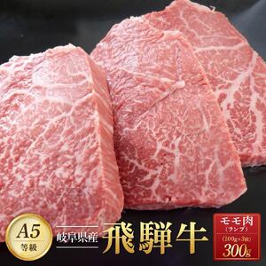 【全４回定期便】飛騨牛Ａ5 「希少部位」全4回 1.2kg（三角バラ カイノミ イチボ ランプ）｜国産 肉 牛肉 焼肉 和牛 黒毛和牛 グルメ おすすめ【飛騨牛 和牛ブランド 飛騨牛 黒毛和牛 飛騨牛 岐阜 大野町 飛騨牛】