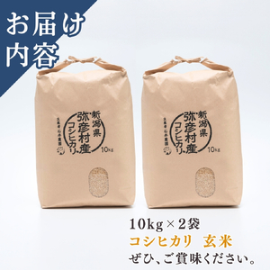 コシヒカリ 玄米 20kg 弥彦村 石井農園 | コシヒカリ 新潟県 令和7年産