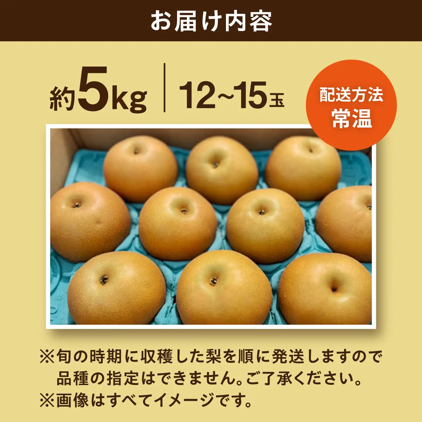 【2026年7月下旬発送】旬の梨 約5kg 梨 [ACZC007]