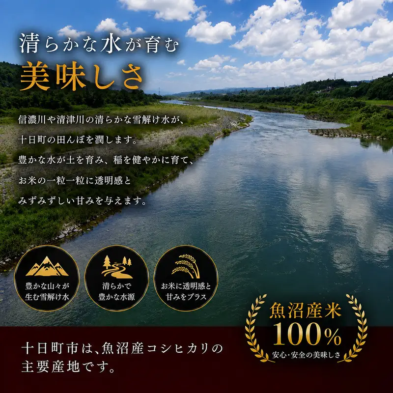 【令和7年産】【食味鑑定士厳選】日本棚田百選のお米 無洗米 天空の里 魚沼産 こしひかり 20kg(5kg×4)
