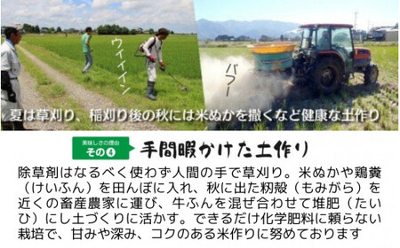 【先行予約】令和8年産米【隔月3回定期便】コシヒカリ 15kg(5kg×3袋) 新潟県産 | コシヒカリ 白米 米 新潟県産 五泉市