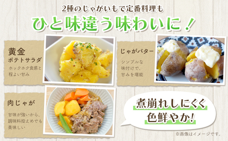 インカのめざめ 10kg じゃがいも 飯山農場《9月中旬-3月上旬頃出荷》芋 ジャガイモ 野菜 送料無料 北海道 浦幌町 