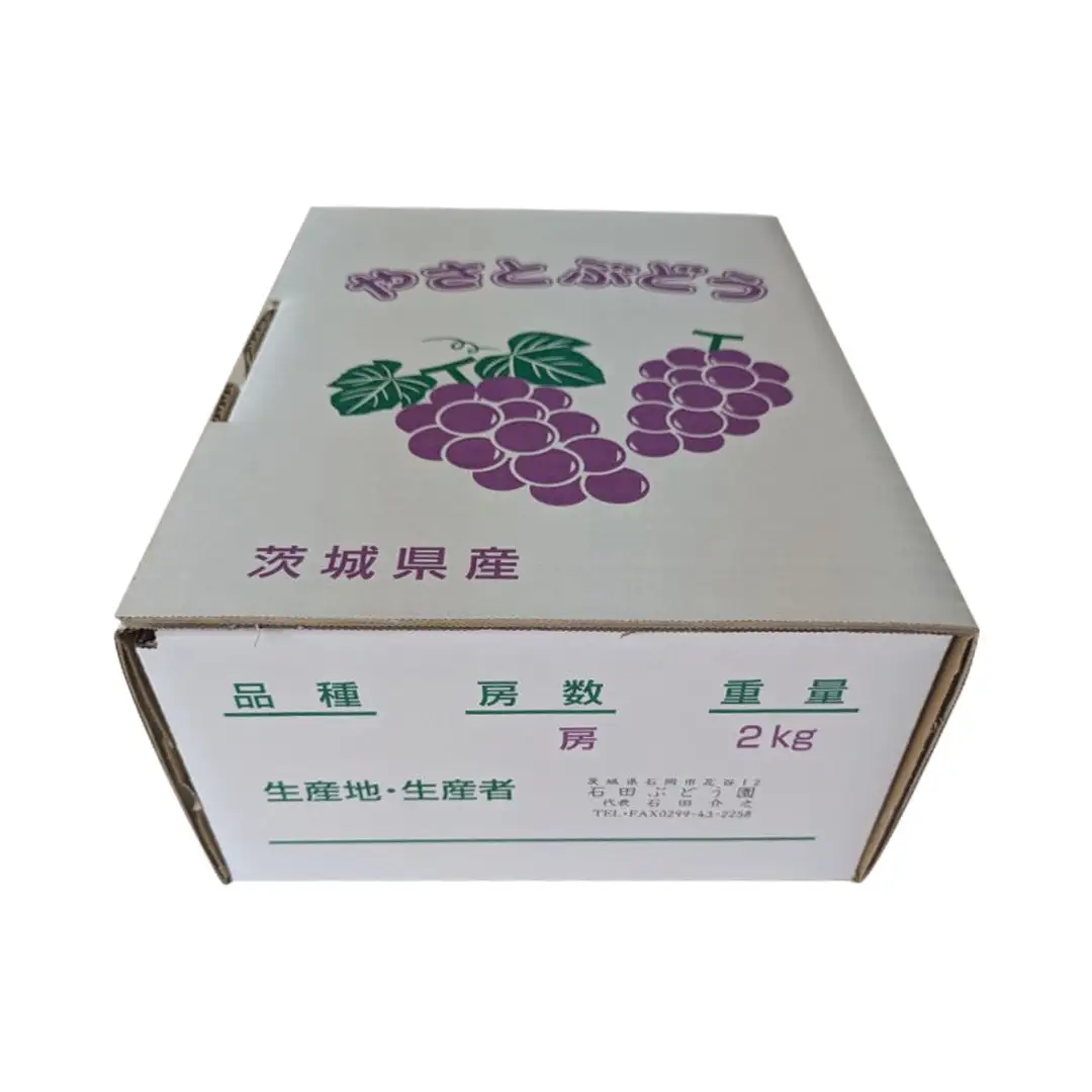 《 2026年 収穫分 》 種あり 巨峰 2kg 5～9房 (桜川市・石岡市共通返礼品) 先行予約 石田ぶどう園 国産 茨城県 桜川市 ぶどう ブドウ 葡萄 果物 くだもの フルーツ 旬 人気 産直 採れたて 新鮮 産地直送 秋 贈答 ギフト プレゼント [FB002sa]