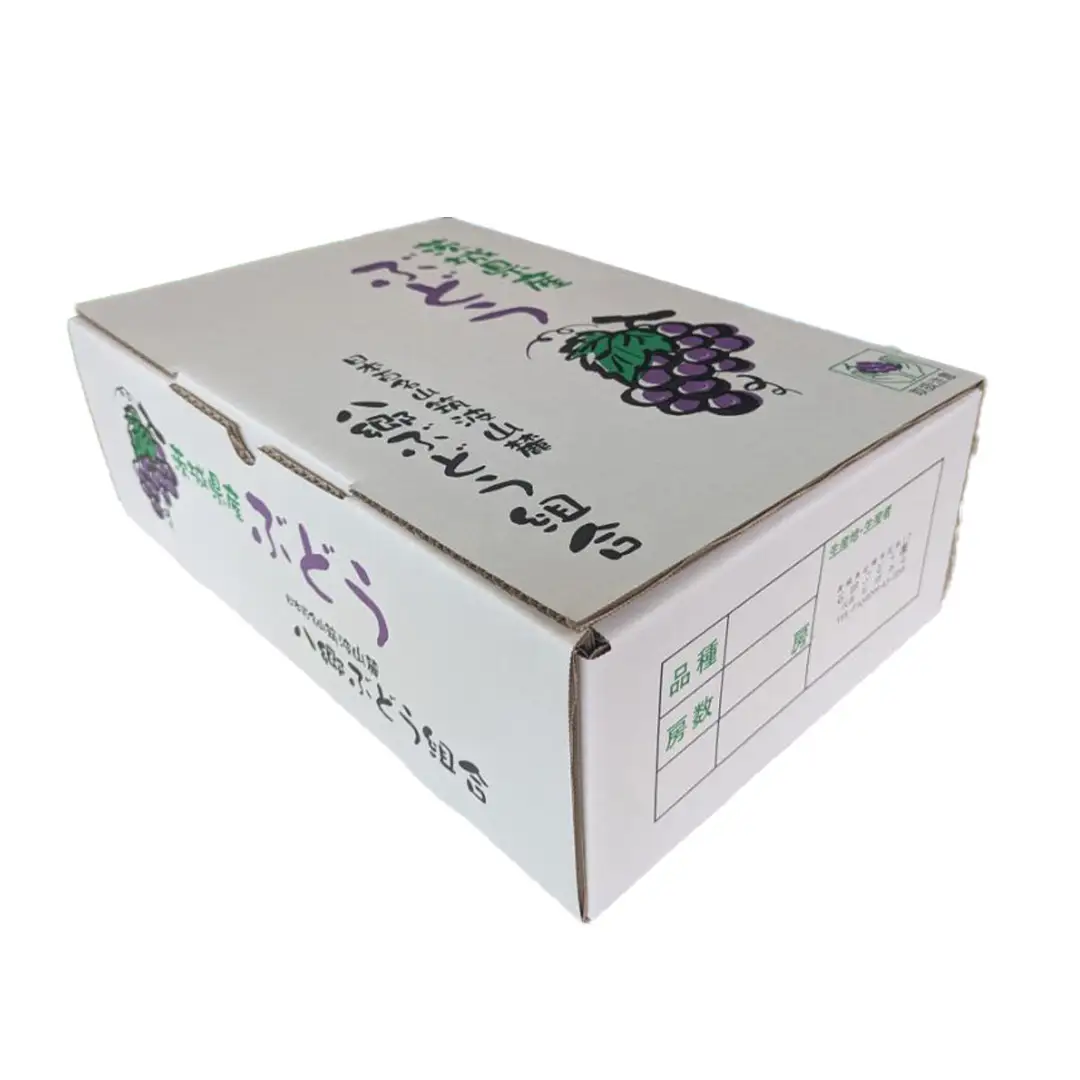 《 2026年 収穫分 》 種あり 巨峰 3kg 8～13房 (桜川市・石岡市共通返礼品) 先行予約 石田ぶどう園 国産 茨城県 桜川市 ぶどう ブドウ 葡萄 果物 くだもの フルーツ 旬 人気 産直 採れたて 新鮮 産地直送 秋 贈答 ギフト プレゼント [FB003sa]