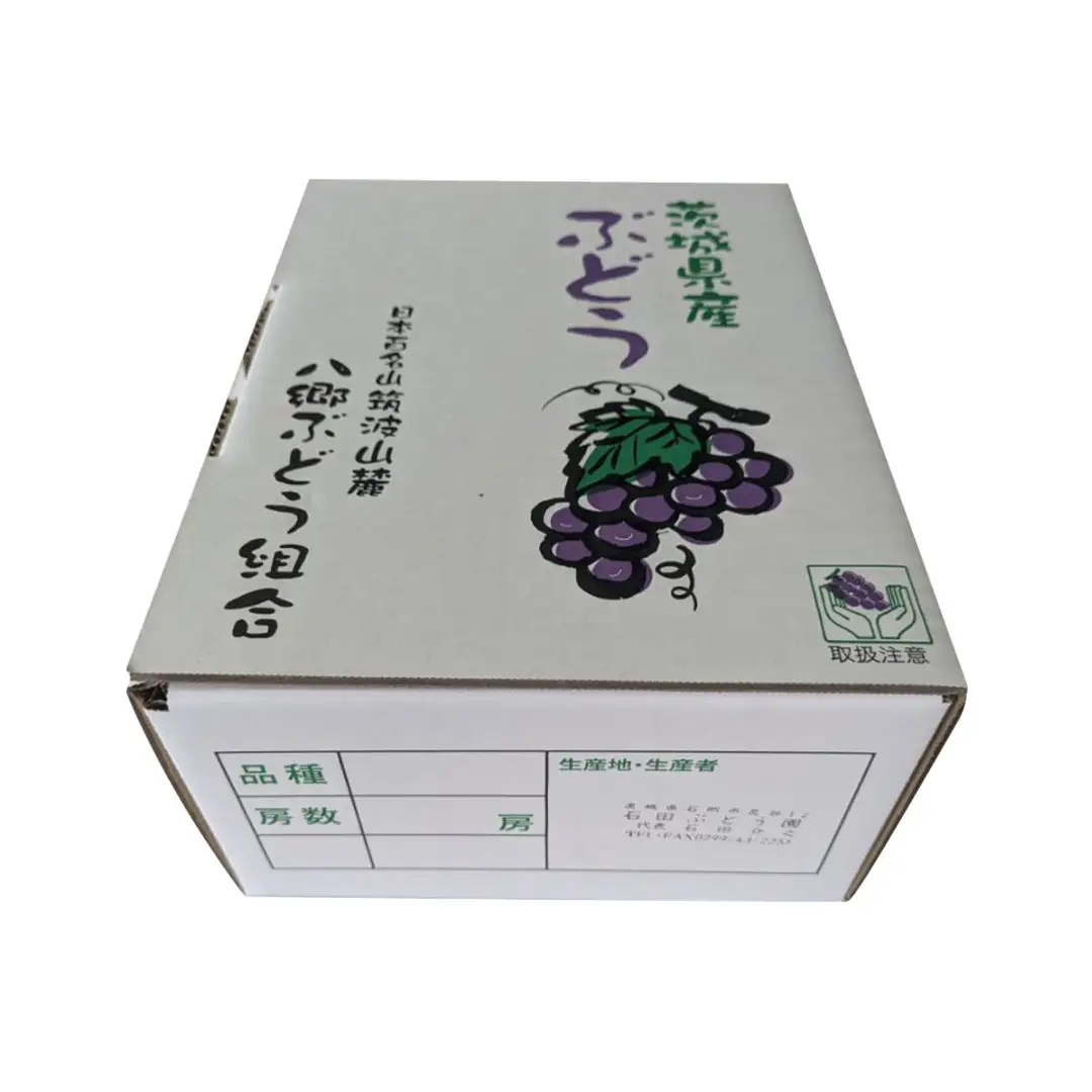 《 2026年 収穫分 》 シャインマスカット 1.5kg 2～4房 (桜川市・石岡市共通返礼品) 先行予約 石田ぶどう園 国産 茨城県 桜川市 マスカット ぶどう ブドウ 葡萄 果物 くだもの フルーツ 旬 人気 採れたて 新鮮 産地直送 秋 贈答 ギフト [FB004sa]