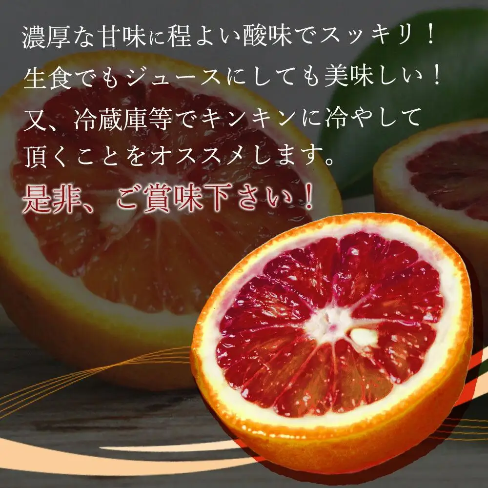 希少な柑橘!紀州有田産ブラッドオレンジ約5kg ［ご家庭用］［2027年3月上旬以降発送］［先行予約］［UT89］