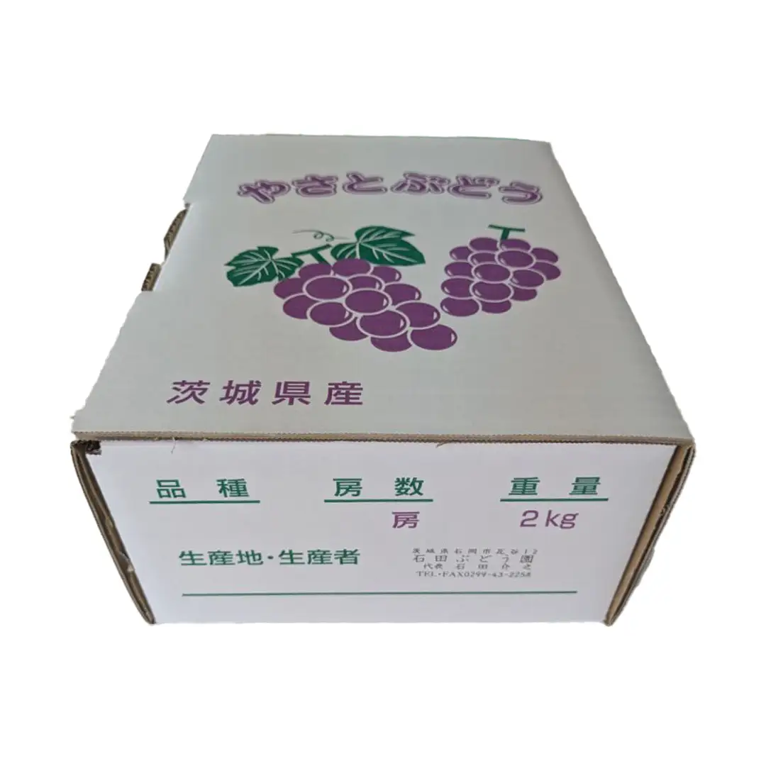 《 2026年 収穫分 》 シャインマスカット 2kg 3～5房 (桜川市・石岡市共通返礼品) 先行予約 石田ぶどう園 国産 茨城県 桜川市 マスカット ぶどう ブドウ 葡萄 果物 くだもの フルーツ 旬 人気 採れたて 新鮮 産地直送 秋 贈答 ギフト [FB005sa]