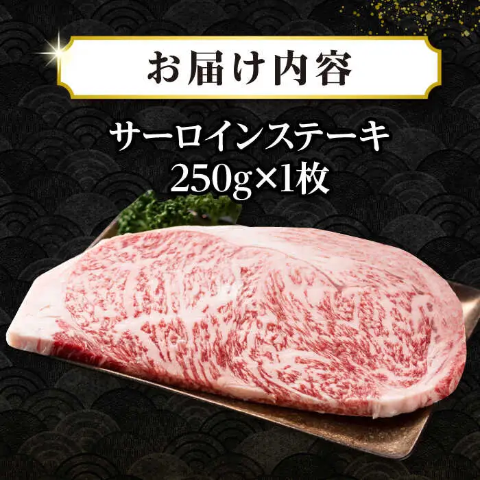 【A4～A5ランク】長崎和牛 サーロインステーキ 250g（250g×1枚）《壱岐市》【株式会社MEAT PLUS】 肉 牛肉 黒毛和牛 ステーキ ご褒美 ギフト 贈答用 ご褒美 冷凍配送 A4 A5 [JGH023]