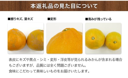 【ご家庭用】『清晃アグリ』のご家庭用みかん★約4kg(2S-2Lサイズ)《11月中旬-12月末頃出荷》