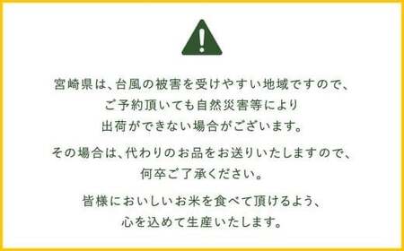 【12か月定期便】 無洗米 ＜チャック付＞ 米 国産 令和7年産 ヒノヒカリ 宮崎県産（5kg×12回）
