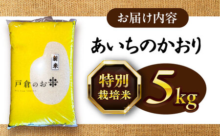 あいちのかおり 白米 5kg [AECS001-08] 国産米 国産