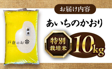 あいちのかおり 白米 10kg [AECS002-08] 国産米 国産