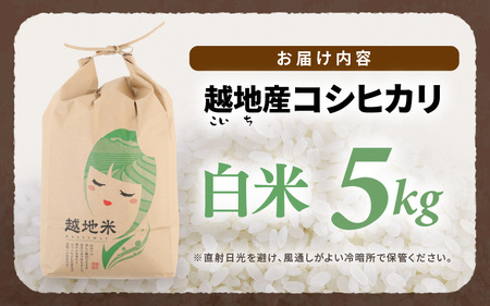 【先行予約】【令和7年産 新米】越地 (こいち) 産 コシヒカリ (白米) 計5kg 【2025年9月中旬以降順次発送予定】[m24-a010]