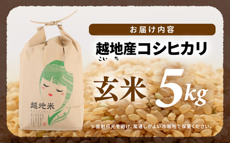 【先行予約】【令和7年産 新米】越地 (こいち) 産 コシヒカリ (玄米) 計5kg 【2025年9月中旬以降順次発送予定】[m24-a009]