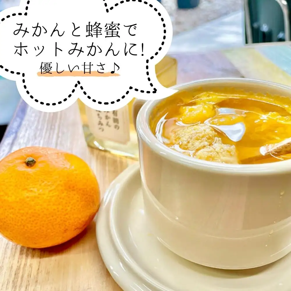 はちみつ 有田のみかん蜂蜜 210g 和歌山県産 産地直送 【みかんの会】
