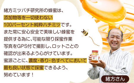 蜂蜜純粋はちみつ600g御船町観光協会《30日以内に出荷予定(土日祝除く)》