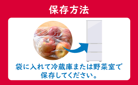 りんご 訳あり5kg16～18個10月限定 りんご