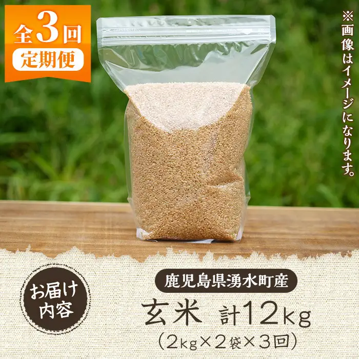 《定期便・全3回》《栽培期間中農薬化学肥料不使用》鹿児島県産 ヒノヒカリ 玄米計12kg（2kg×2袋×3回） 国産 九州産 鹿児島県産 湧水町産 ひのひかり お米 米 こめ コメ 玄米 ご飯 ごはん 化学肥料不使用 農薬不使用 有機 有機農業 有機肥料 定期便 【雲月農園】_y472