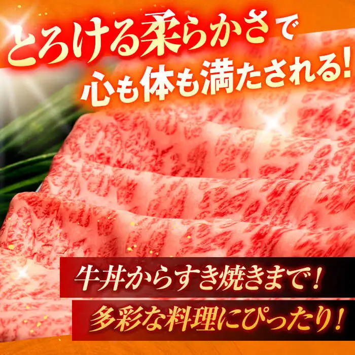 牛肉スライス A5 肩ローススライス 2kg [OCH012]