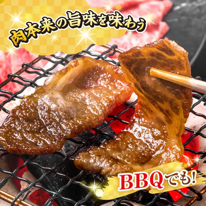 【全2回定期便】【A4～A5ランク】長崎和牛 焼肉用 1kg（500g×2パック）《壱岐市》【株式会社MEAT PLUS】肉 牛肉 黒毛和牛 焼き肉 焼肉 焼肉用 ギフト 贈答用 ご褒美 冷凍配送 A4 A5 [JGH111]