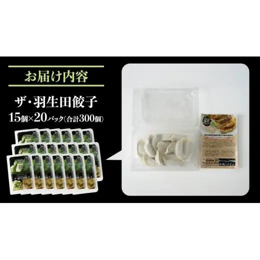 まぼろしのキャベツ419使用 ザ・羽生田餃子 15個 × 20パック 合計300個 [AL004tu]