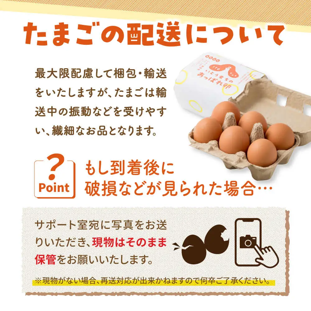 【6回定期便】あっぱれ卵 24個 /いとう養鶏場 [UAQ010] 卵 たまご 鶏卵