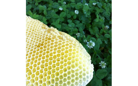 【百花蜜】天然 はちみつ 高原の恵み「山の蜜」500g ｜ 国産 蜂蜜 愛媛県 久万高原町 純粋 100% 非加熱 無調整 採れたて 高糖度 ハニー 朝食 トースト ヨーグルト 健康食 栄養豊富 手土産 お取り寄せ ナチュラル 食品 特産品 産地直送