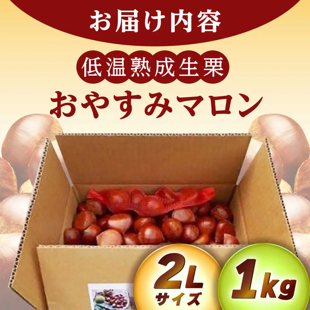 【先行予約】おやすみ栗（マロン）1kg（2Lサイズ） / 恵那市 / えな笠置山栗園 [AUAV004]