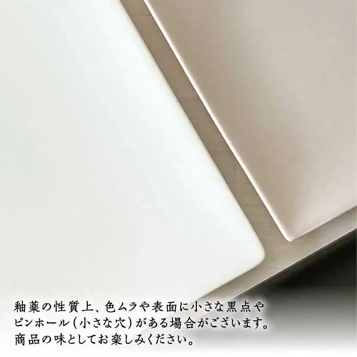 【波佐見焼】modern matteシリーズ 長皿 2枚セット マットグレージュ【和山】[WB160]
