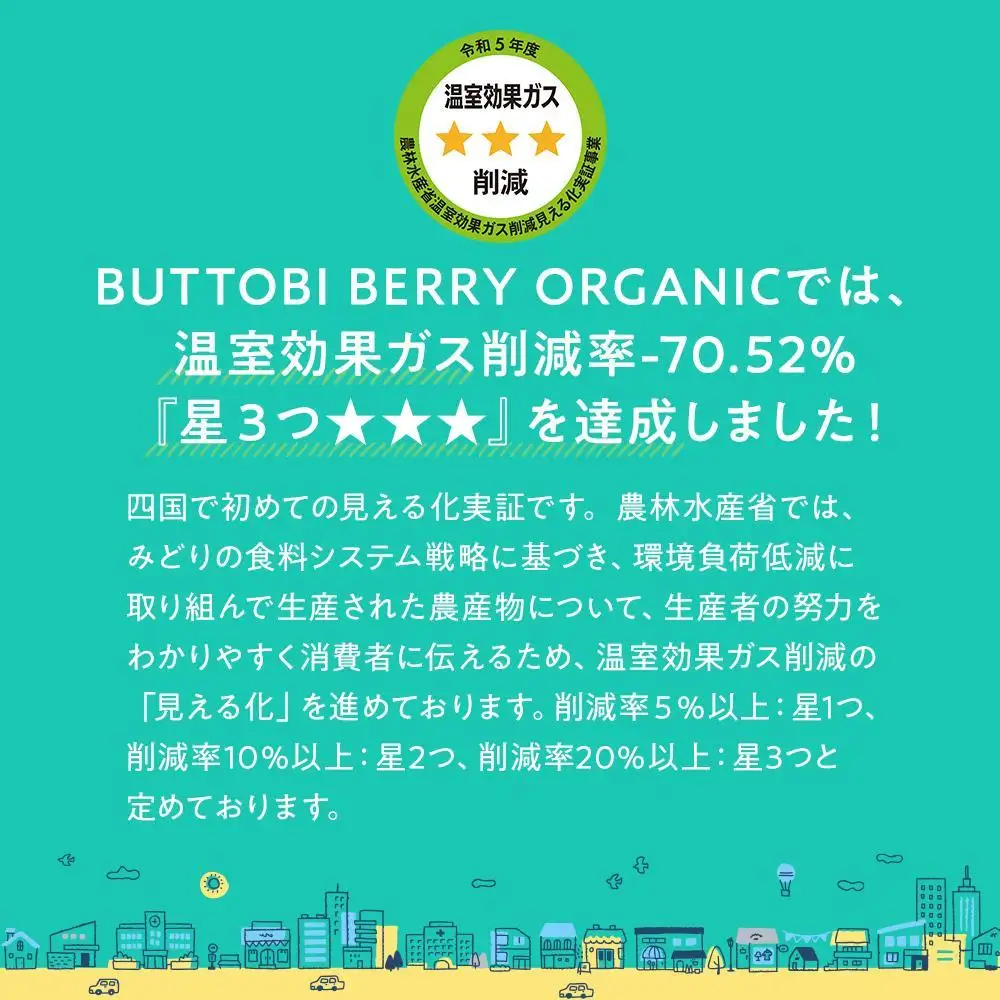 とくしまオーガニックいちご 中粒18粒（約380g）１箱【2026年12月下旬から順次発送】