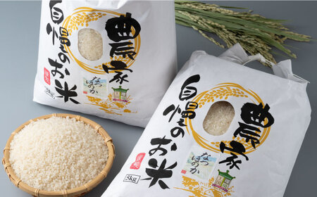【全2回定期便】対馬産 なつほのか 5kg×2「ほたる舞う三根川の米」 米 お米 白米 お弁当 [WAJ024]