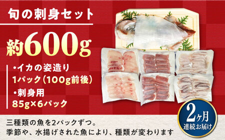 【全2回定期便】対馬 イカ 姿造り と 刺身 の セット 新鮮 海鮮 いか 冷凍 刺身 ケンサキイカ 島魚 海鮮丼 手巻き寿司 [WAK025]