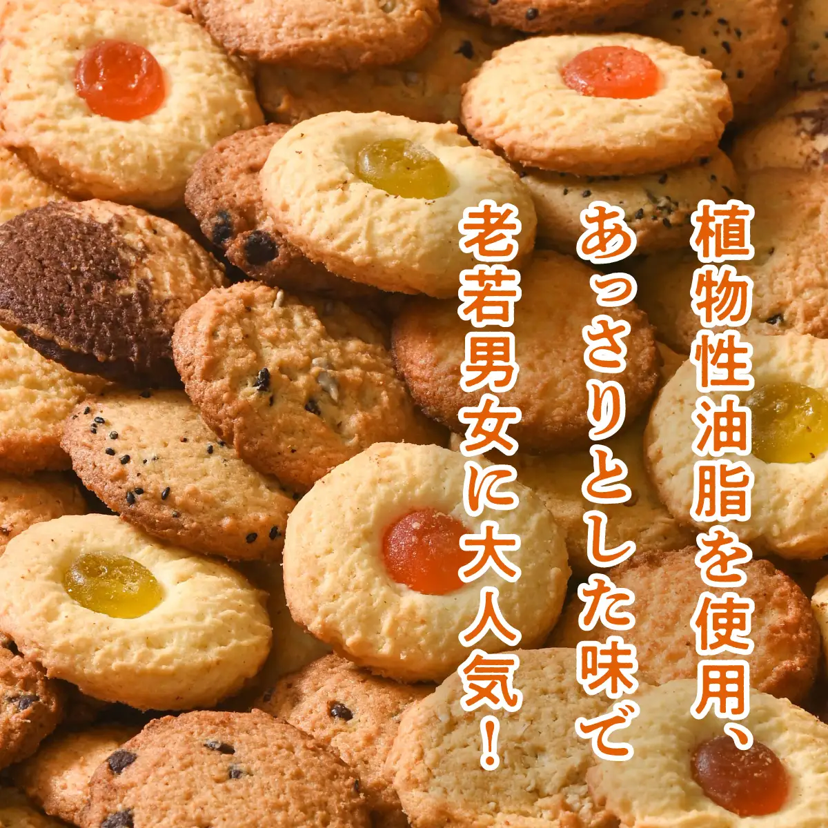 トロピカルクッキー M(2枚入×24袋)×2箱《Jimmy's》 地元で愛されるベーカリー＆デリカテッセンの老舗。| クッキー 詰め合わせ チョコチップ ナッツ セサミ マーブル | 子供も喜ぶ おやつに最適 お菓子 | 沖縄 お取り寄せ スイーツ ジミー ジミーズ | 送料無料
