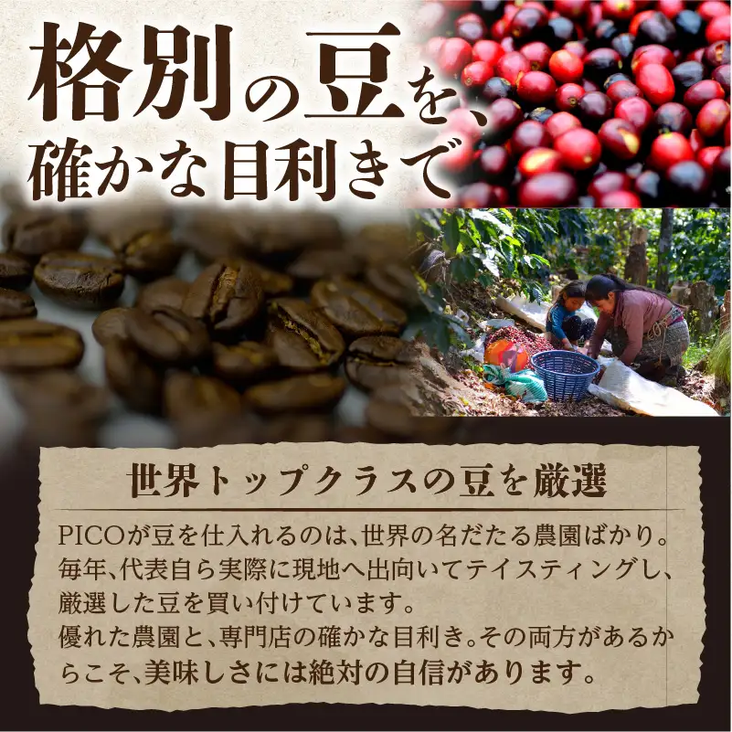 江戸東京コーヒー　FUKAGAWAGEISHAセット　４種類　各６パック入り　