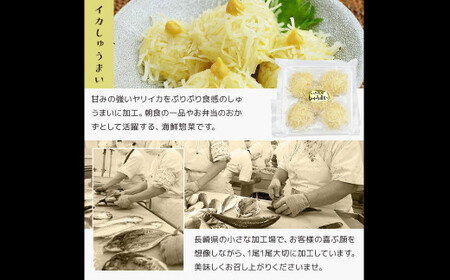 【全6回定期便】長崎 海鮮三昧 ひものセット ／ 干物 魚介類 海鮮 魚介 魚 セット 詰合せ ふぐ フグ 連子鯛 タイ かます あじ 鯵 ぶり いかしゅうまい 長崎県 長崎市