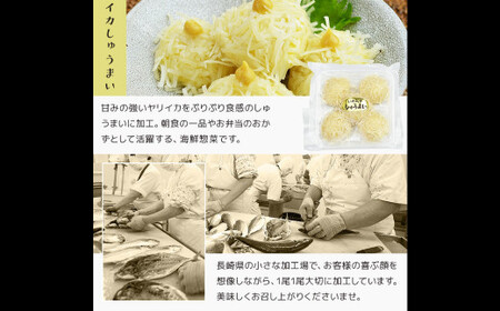 【全3回定期便】長崎 海鮮三昧 ひものセット ／ 干物 魚介 魚 海 定期 ふぐ フグ 連子鯛 タイ かます あじ 鯵 ぶりいかしゅうまい 長崎県 長崎市