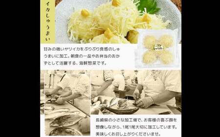 【全12回定期便】長崎 海鮮三昧 ひものセット ／ 干物 乾物 魚介 お魚 魚 おつまみ 酒の肴 ふぐ フグ 連子鯛 タイ かます あじ 鯵 ぶり いかしゅうまい 長崎県 長崎市