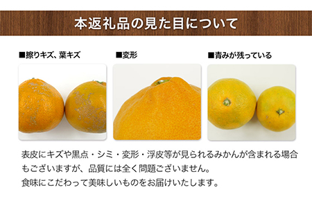 ご家庭用『西村農園』のご家庭用みかん★約5kg(2S-2Lサイズ) 《11月下旬-12月下旬頃出荷》