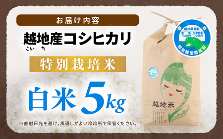 【令和6年 新米】越地 (こいち) 産 特別栽培米 コシヒカリ【白米】 計5kg [m24-a006]
