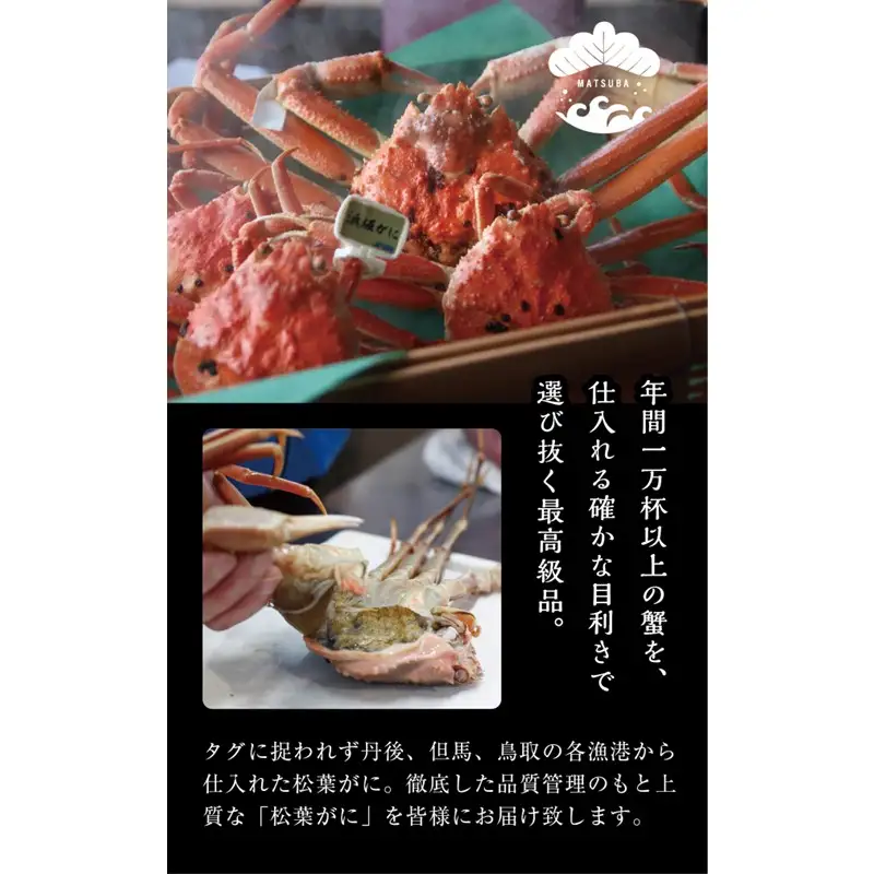 松葉ガニのかにすき２人前セット/自家製かにみそ付き （超特大サイズ /活けの状態で1200ｇ～ 1杯） カニ鍋 蟹 蟹鍋 鍋  カニすき 蟹すき 松葉蟹 松葉ガニ かに雑炊 日本海 国産 のし お祝い ギフト お取り寄せ 加工品 簡単 お手軽 冷凍