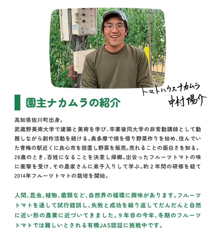 〈2027年1月より順次発送〉【年3回 定期便】アルテトマト 約800g（10‐16玉）×3箱 計約2.4kg フルーツトマト 栽培期間中化学農薬・化学肥料不使用 高知県 トマトハウスナカムラ 有機JAS 【常温】（1～5月頃発送）